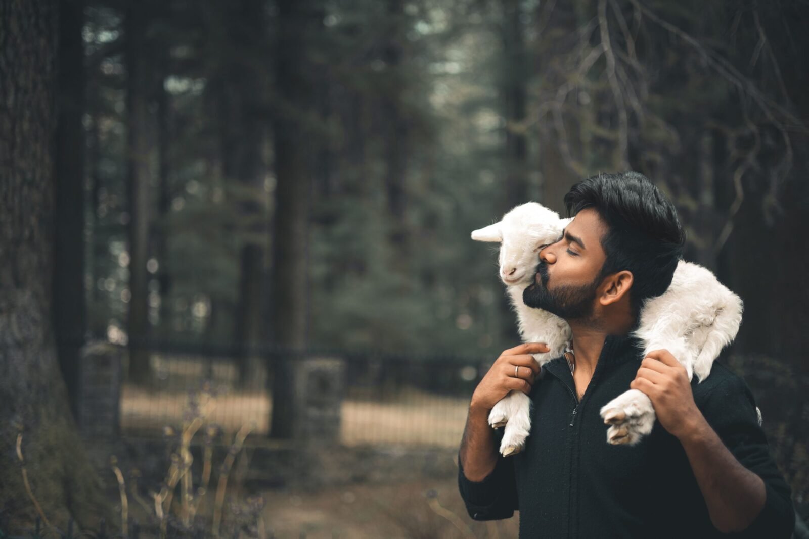 A man lovingly carries a sheep on his shoulders in a tranquil forest environment.