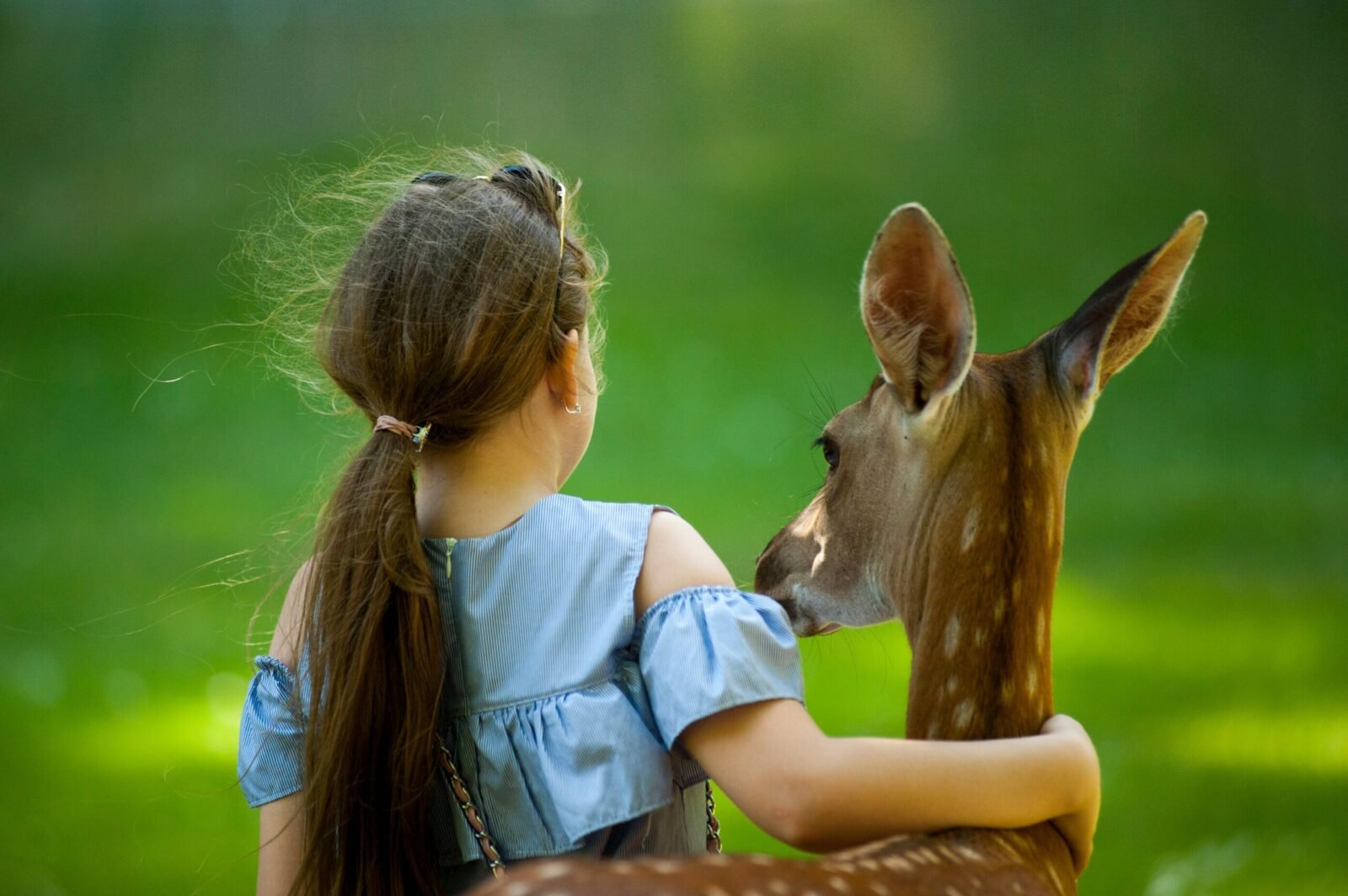 A young girl gently embraces a deer in a vibrant green park setting, showcasing their natural bond.