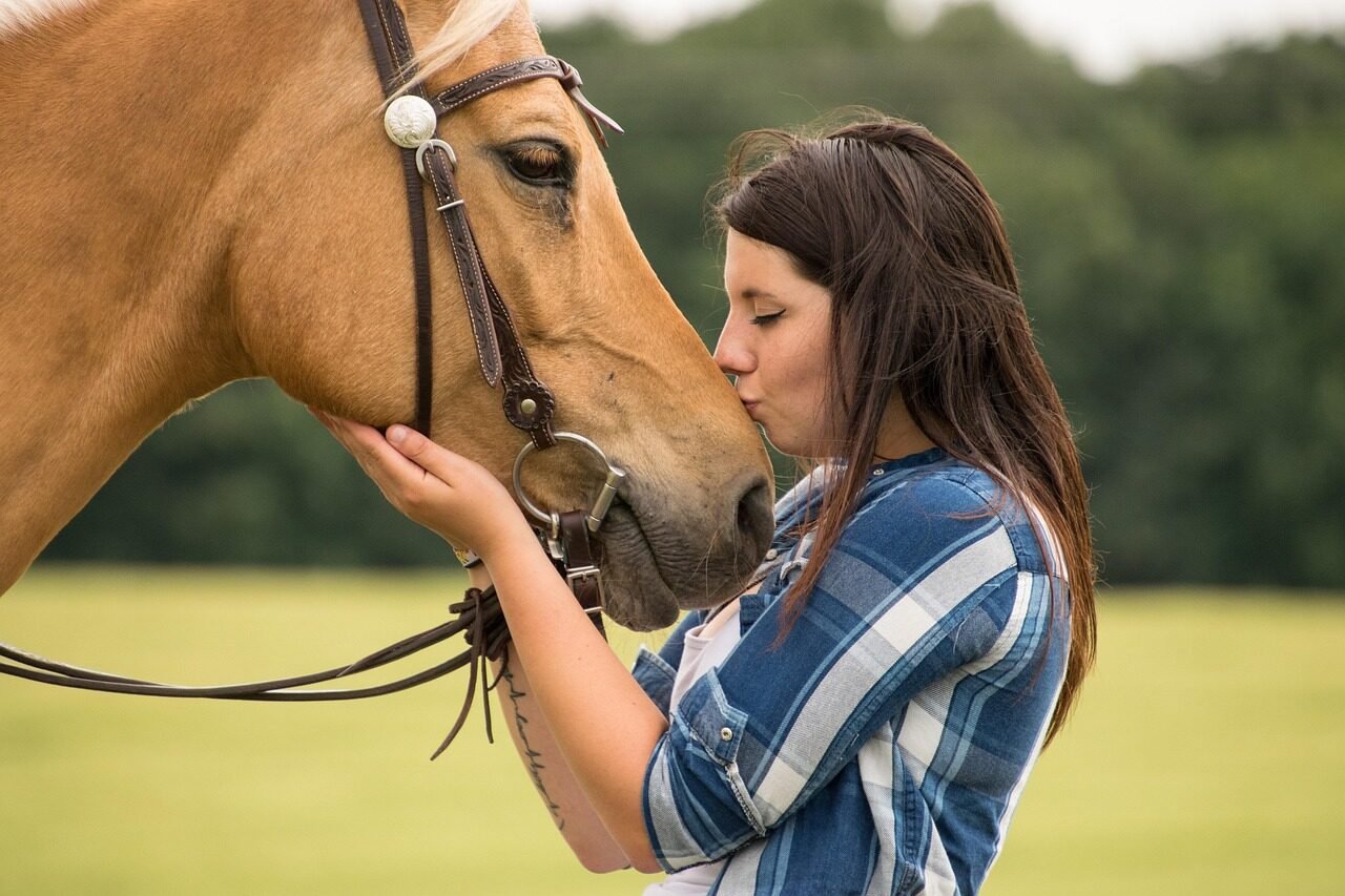 horse, trust, love, kiss, nature, friendship, animal, human, western, arabs, palomino